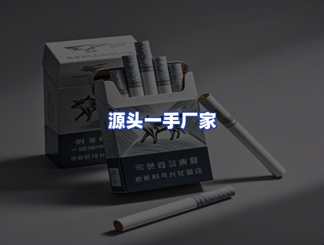 专业团队